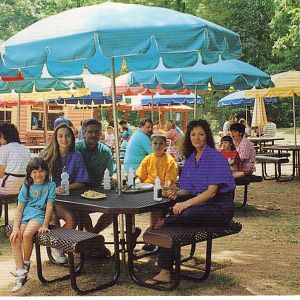 Catskill Game Farm Postcard