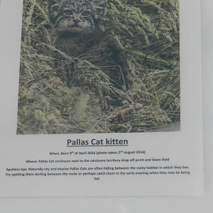 Recent Births at Port Lympne