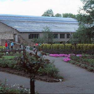 Ape House (Number one) Chester Zoo 1986