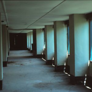 Ape House (Number one) Chester Zoo