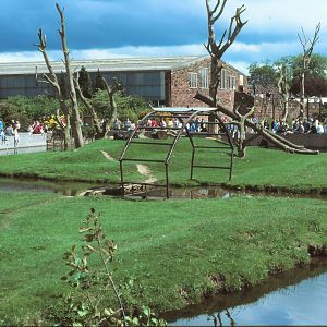 Ape House (Number one) Chester Zoo