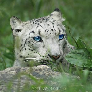 Sep. 2016 - Cat Canyon - Renji