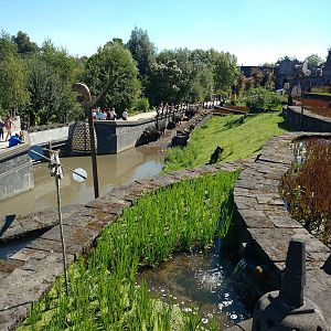 Water buffalo enclosure