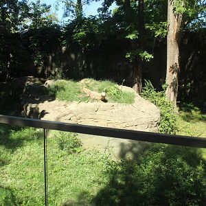 Sep. 2016 - Dragons! - Komodo Dragon Outdoor Yard