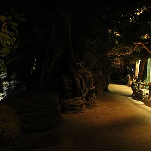 Sep. 2016 - Jungle Trails - Interior of the African Animals Building
