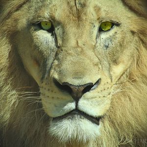 Sep. 2016 - Africa - John