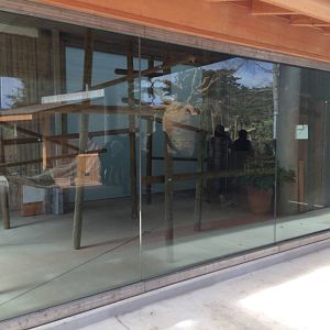 Indoor Sifaka Exhibit area