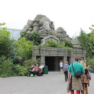 Jungola - Butterfly House