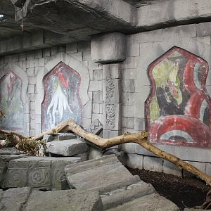 Jungola - Enclosure Reticulated python