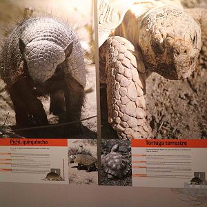 Signage for unusual wild animals, April 2016