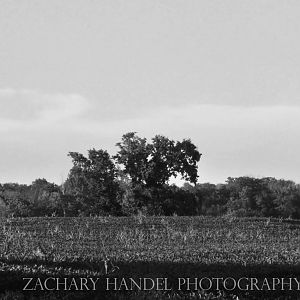 Sep. 2016 - Barn and Hot Air Balloon
