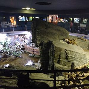 Alligator enclosure - delete