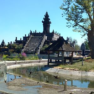 New orangutan enclosure May 2016
