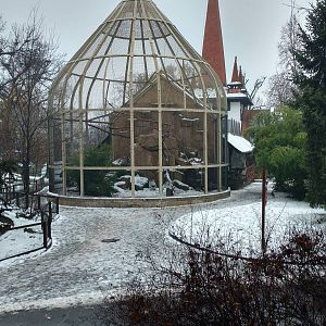 Australian House Aviary