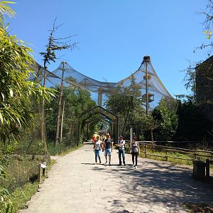 Bird of prey aviaries