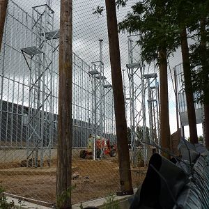 New Chimp Enclosure, 9 September 2016