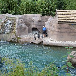 Humboldt Penguins, September 2016