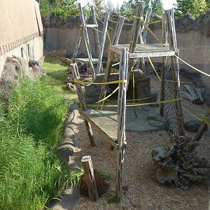 Outdoor Orangutan enclosure, September 2016