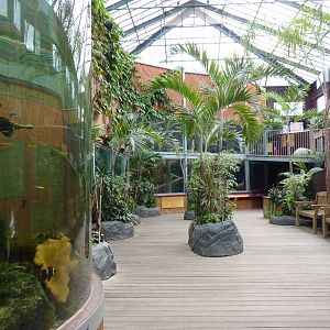 Orangutan house interior, September 2016