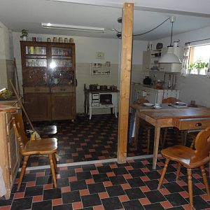 Western House Mouse Enclosure