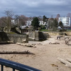 The enclosure for Asian elephants