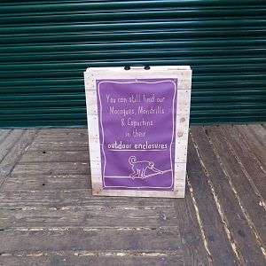 Sign in Monkey House