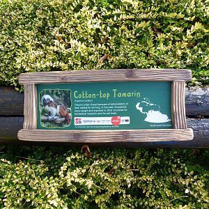 Cotton Topped Tamarin Signage
