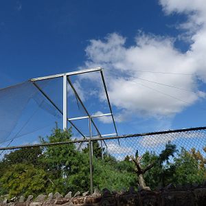 Former Condor and Black Stork Aviary