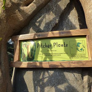 Pitcher Plant Signage