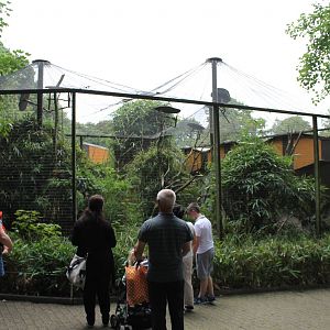 Parrot aviary