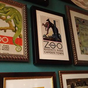 Zoo posters, September 2016