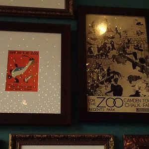 Zoo posters, September 2016