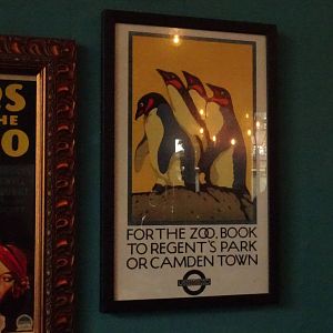 Zoo posters, September 2016