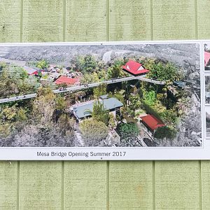 Artist's renderings of bridge walkway