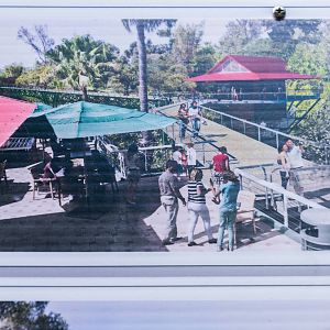 Artist's renderings of bridge walkway