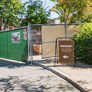 Detour around Elephant Odyssey entrance by the maned wolves