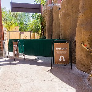 Detour in Elephant Odysesy