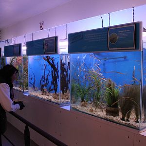 View into the Sea horse room