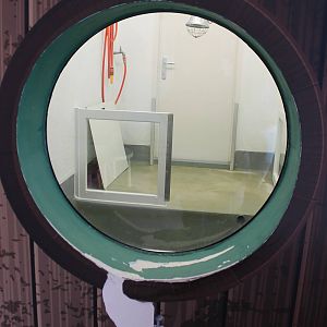 Enclosure in the Seal Hospital