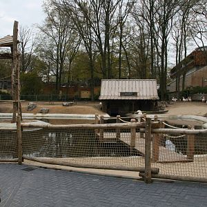 New pelican exhibit
