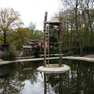 new gibbon island in the new pelican pond