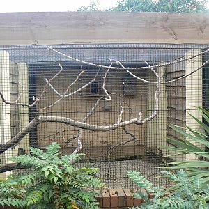 View of the Orange-winged Amazon Aviary - 17 September 2016