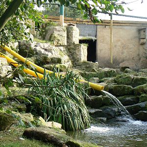 Water Slide for Waterfowl? - 17 September 2016