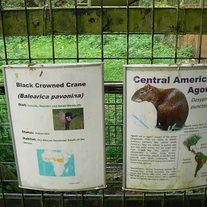 View of Signage - 17 September 2016