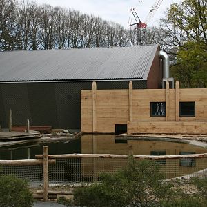 the newly restored outdoor sealion pool