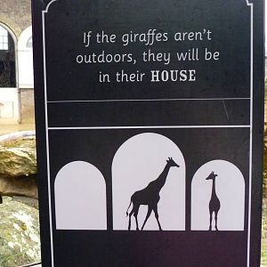 Giraffe sign, September 2016