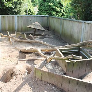 Enclosure Black-tailed prairie dog