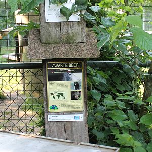 Sign American black bear