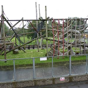Orangutan enclosure, September 2016