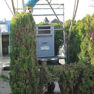Blue and yellow macaw enclosure